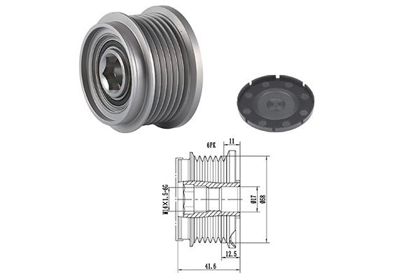 AP-0169 GOOM Dispositivo ruota libera alternatore 