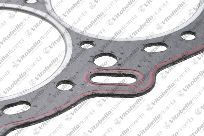 1007801N Vitobello ricambi Guarnizione 