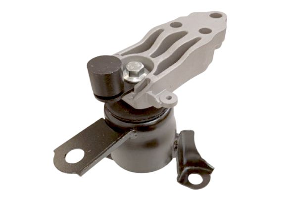 EM-1508 GOOM Sospensione, Motore 