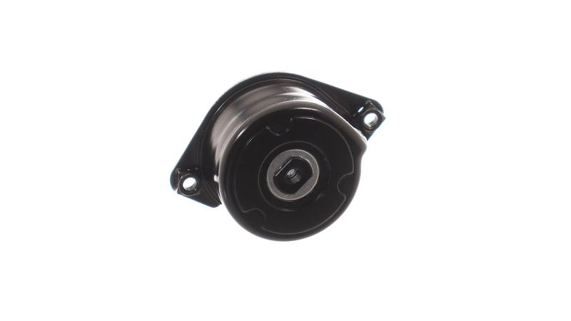 VKM 38208 SKF Tendicinghia, Cinghia Poly-V 