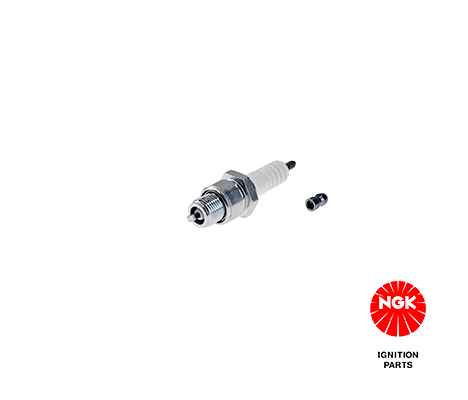 1134 NGK Candela accensione 