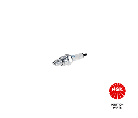 2983 NGK Candela accensione 