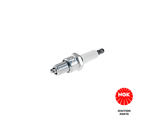 3153 NGK Candela accensione 