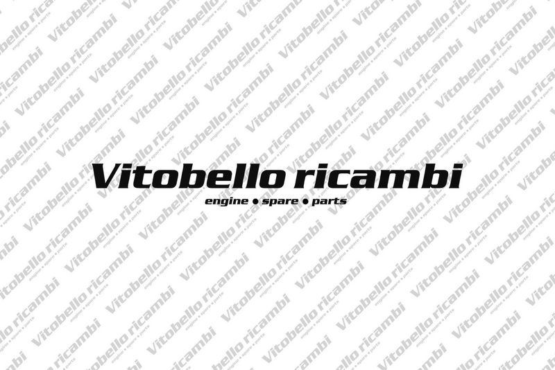 1001409R Vitobello ricambi Testata 