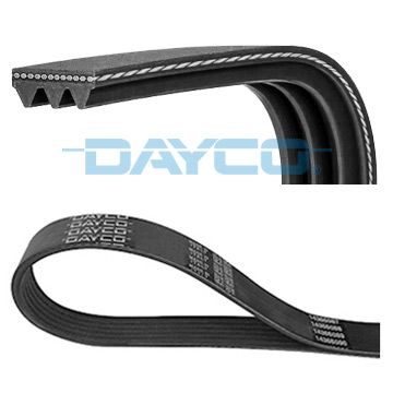 3PK853 DAYCO Cinghia Poly-V 