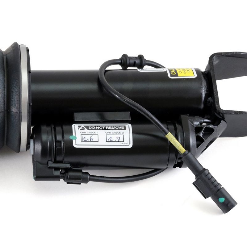 AS-2246 Arnott Gamba elastica con ammortiz. pneumatico 