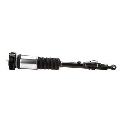 AS-2821 Arnott Gamba elastica con ammortiz. pneumatico 