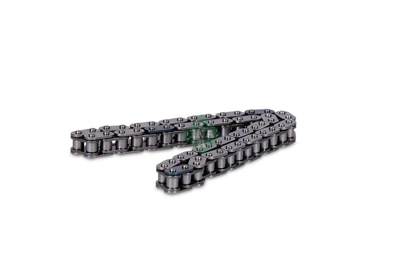 553040110 Schaeffler INA Catena distribuzione 
