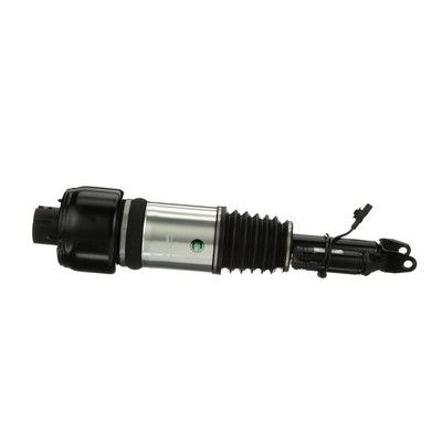 AS-2301 Arnott Gamba elastica con ammortiz. pneumatico 