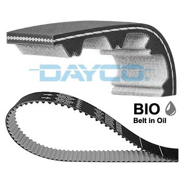 941189 DAYCO Cinghia dentata 