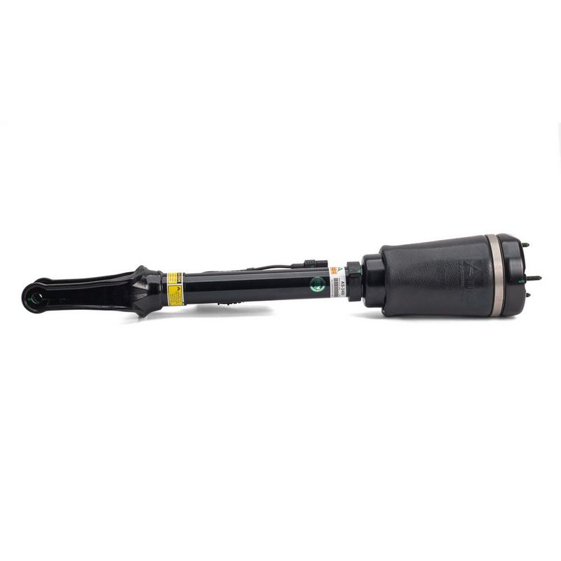 AS-2450 Arnott Gamba elastica con ammortiz. pneumatico 