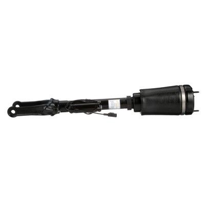AS-2450 Arnott Gamba elastica con ammortiz. pneumatico 