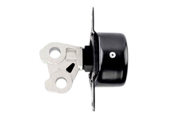 EM-0538 GOOM Sospensione, Motore 
