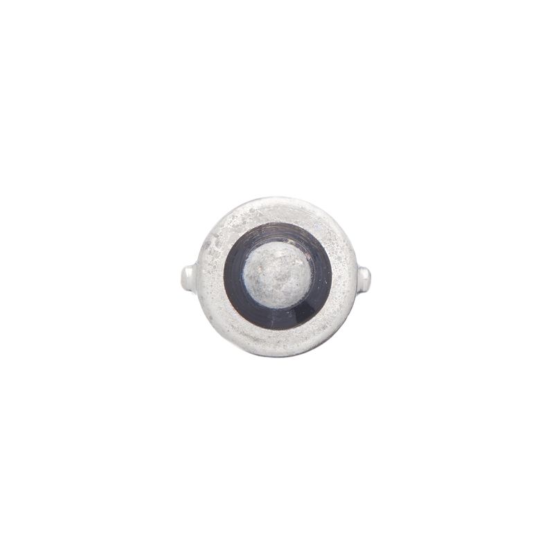 1987302233 BOSCH Lampadina 