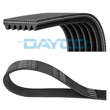 6PK892 DAYCO Cinghia Poly-V 