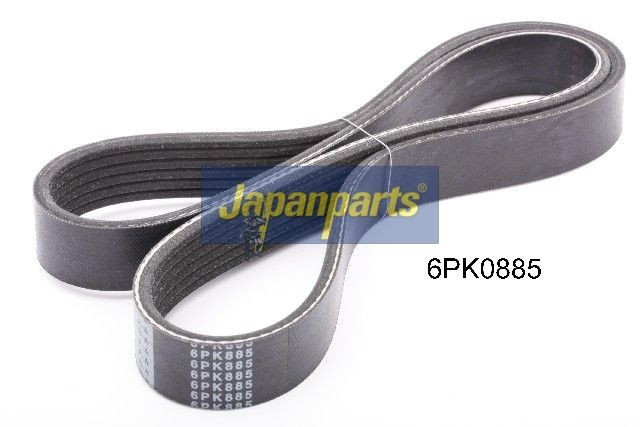 DV-6PK0885 JAPANPARTS Cinghia Poly-V 