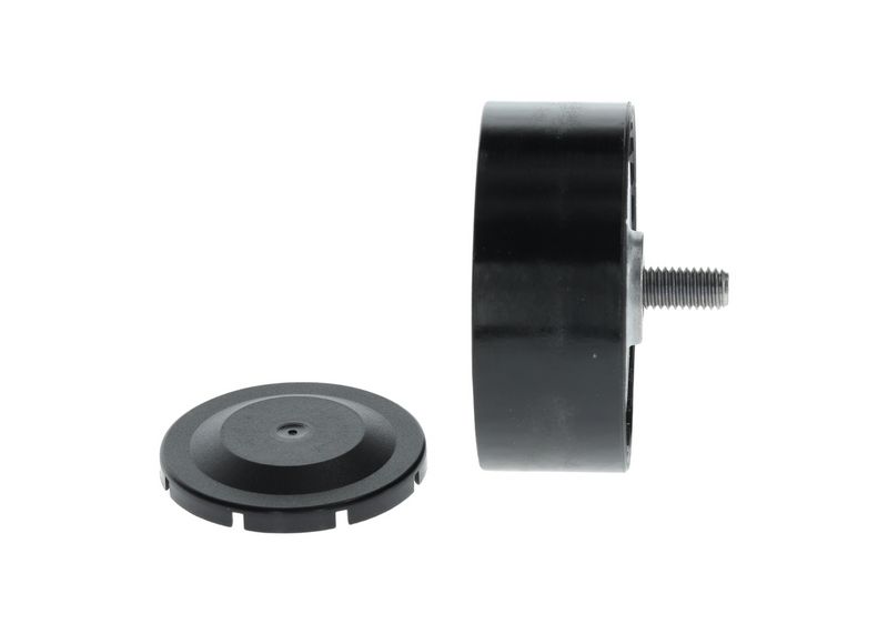 1987600025 BOSCH Galoppino/Guidacinghia, Cinghia Poly-V 