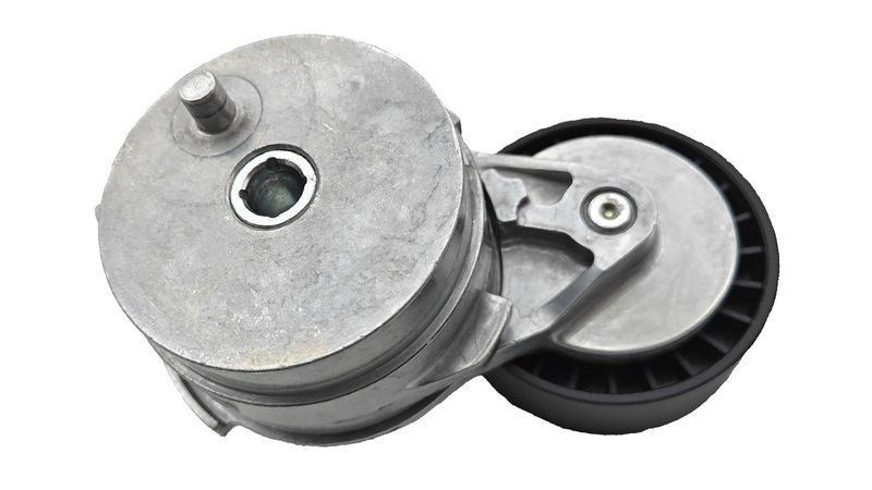 VKM 31313 SKF Tendicinghia, Cinghia Poly-V 