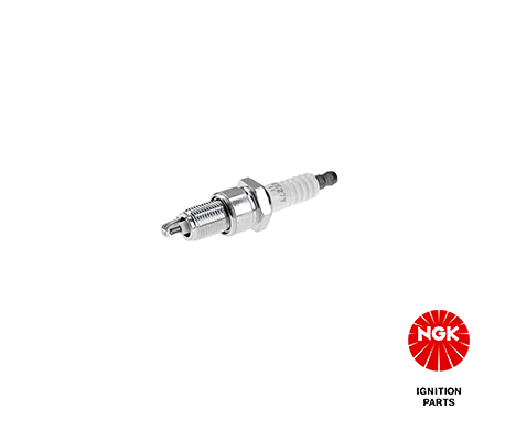 6029 NGK Candela accensione 