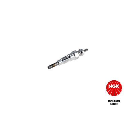 1065 NGK Candeletta 