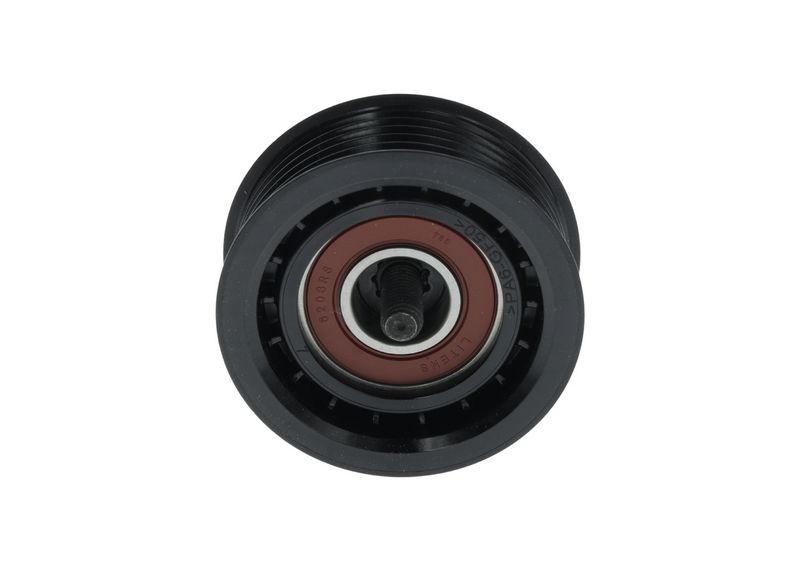 1987600019 BOSCH Galoppino/Guidacinghia, Cinghia Poly-V 