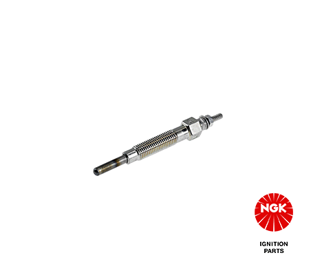 2161 NGK Candeletta 