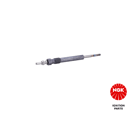 97558 NGK Candeletta 