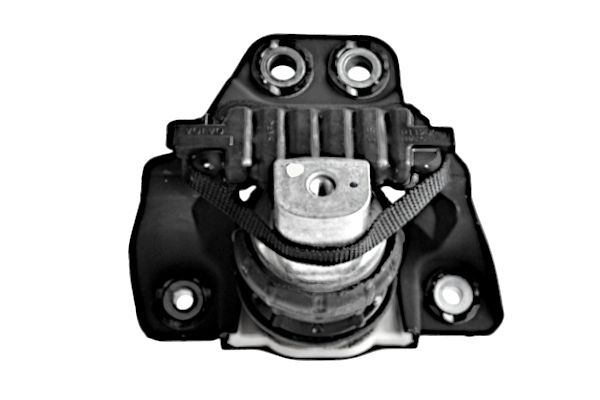 EM-1244 GOOM Sospensione, Motore 